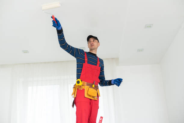 Biohazard Mold Removal in Ruston, WA